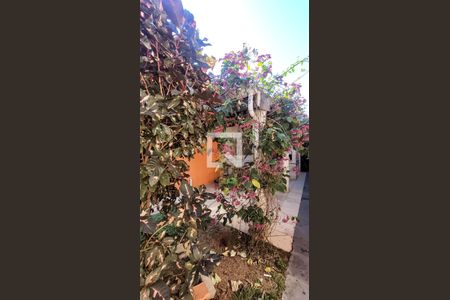 Casa para alugar com 23m², 1 quarto e sem vaga