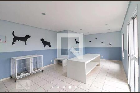 Apartamento à venda com 77m², 3 quartos e 2 vagasÁrea Comum - Espaço pet