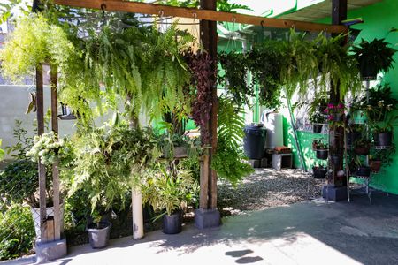 Casa para alugar com 273m², 1 quarto e 3 vagasLavanderia - Churrasqueira - Jardim