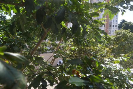 Apartamento à venda com 70m², 2 quartos e 1 vagaVista da Suíte