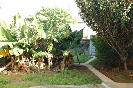 Casa para alugar com 60m², 1 quarto e sem vagaÁrea comum