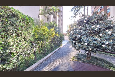 Apartamento à venda com 145m², 3 quartos e 1 vagaÁrea comum