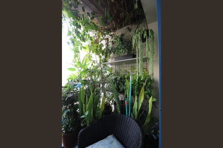 Varanda da Sala de apartamento à venda com 2 quartos, 70m² em Indianópolis, São Paulo