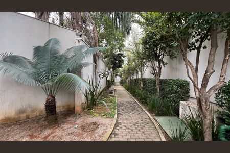 Apartamento para alugar com 84m², 2 quartos e 2 vagas Apartamento para alugar com 84m², 2 quartos e 2 vagasPet place