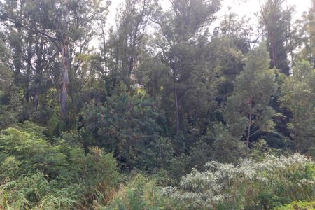 Apartamento para alugar com 58m², 3 quartos e 1 vagaVista da Sacada