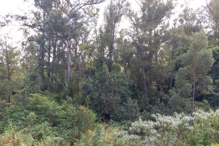 Apartamento para alugar com 58m², 3 quartos e 1 vagaVista do Quarto 01