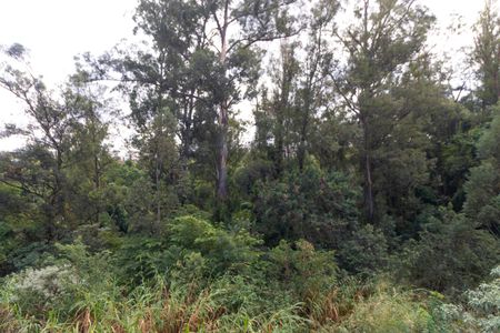 Apartamento para alugar com 58m², 3 quartos e 1 vagaVista do Quarto 02