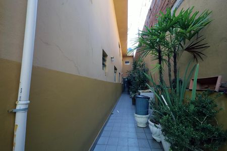 Casa para alugar com 320m², 4 quartos e 2 vagas Casa para alugar com 320m², 4 quartos e 2 vagasCorredor Lateral