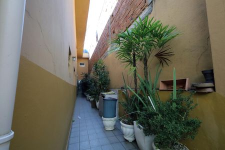 Casa para alugar com 320m², 4 quartos e 2 vagas Casa para alugar com 320m², 4 quartos e 2 vagasCorredor Lateral