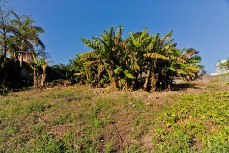 Casa à venda com 3825m², 3 quartos e 6 vagasÁrea externa