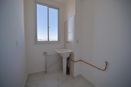 Área de Serviço de apartamento para alugar com 2 quartos, 42m² em Jardim America da Penha, São Paulo
