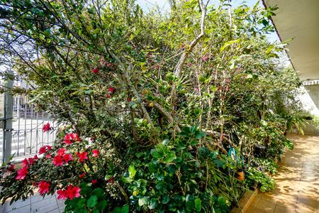 Casa à venda com 233m², 3 quartos e 2 vagasVista da sala