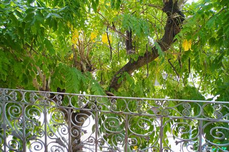 Casa à venda com 425m², 5 quartos e 2 vagasVaranda 