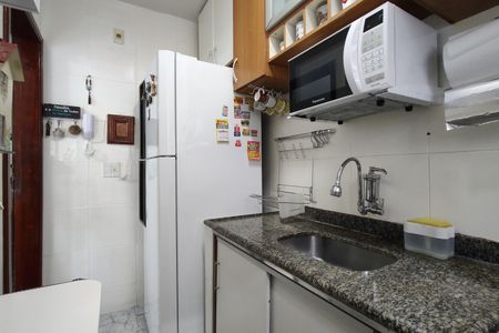 Apartamento à venda com 52m², 2 quartos e 1 vagaCozinha - Armários