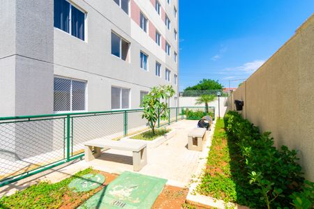 Apartamento para alugar com 35m², 2 quartos e sem vaga Apartamento para alugar com 35m², 2 quartos e sem vagaÁrea comum - Espaço Pet