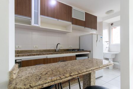Apartamento para alugar com 50m², 2 quartos e 1 vagaCozinha - Armários