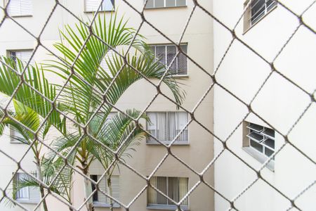 Apartamento para alugar com 55m², 2 quartos e 1 vagaVista da Sala