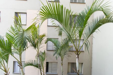 Apartamento para alugar com 55m², 2 quartos e 1 vagaVista do Quarto 2