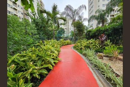 Apartamento para alugar com 52m², 2 quartos e 1 vaga Apartamento para alugar com 52m², 2 quartos e 1 vagaBosque