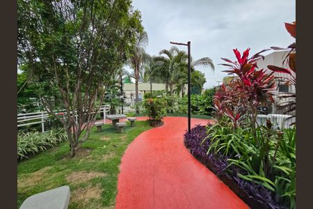 Apartamento para alugar com 52m², 2 quartos e 1 vaga Apartamento para alugar com 52m², 2 quartos e 1 vagaBosque