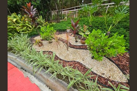 Apartamento para alugar com 52m², 2 quartos e 1 vaga Apartamento para alugar com 52m², 2 quartos e 1 vagaBosque