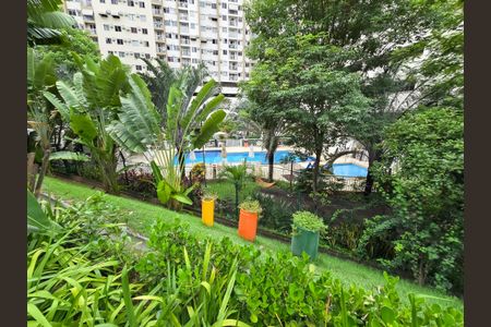 Apartamento para alugar com 52m², 2 quartos e 1 vaga Apartamento para alugar com 52m², 2 quartos e 1 vagaBosque