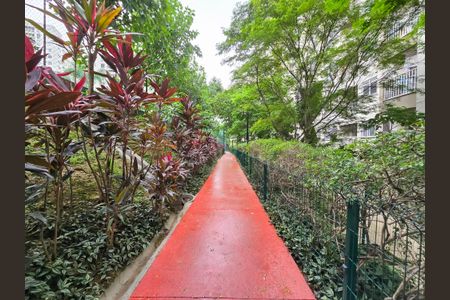 Apartamento para alugar com 52m², 2 quartos e 1 vaga Apartamento para alugar com 52m², 2 quartos e 1 vagaBosque