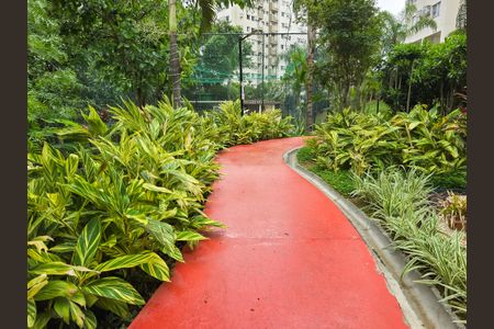 Apartamento para alugar com 52m², 2 quartos e 1 vaga Apartamento para alugar com 52m², 2 quartos e 1 vagaBosque