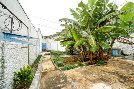 Casa para alugar com 450m², 4 quartos e 7 vagasQuintal