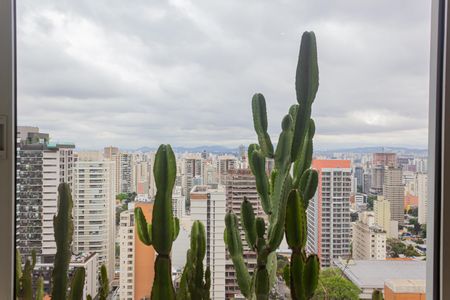 Apartamento à venda com 314m², 2 quartos e 3 vagasVista da Sala/Cozinha