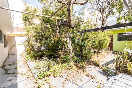 Casa para alugar com 221m², 3 quartos e 5 vagas Casa para alugar com 221m², 3 quartos e 5 vagasQuintal