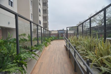 Apartamento à venda com 83m², 2 quartos e 2 vagasÁrea comum - Piscina