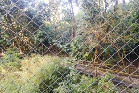 Apartamento à venda com 66m², 3 quartos e 1 vaga Apartamento à venda com 66m², 3 quartos e 1 vagaVista do Quarto 2