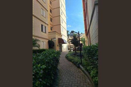 Apartamento à venda com 65m², 3 quartos e 1 vaga