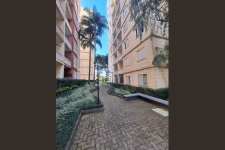 Apartamento à venda com 65m², 3 quartos e 1 vaga