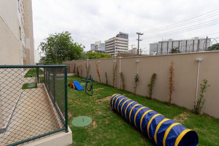 Apartamento para alugar com 42m², 2 quartos e sem vagaÁrea comum - Pet Place