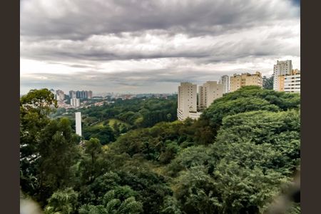 Apartamento para alugar com 150m², 3 quartos e 4 vagasVista da Varanda da Sala