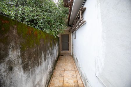 Studio para alugar com 30m², 1 quarto e sem vagaQuintal