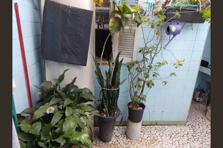 Casa à venda com 2 quartos, 117m² em Vila Guilherme, São Paulo