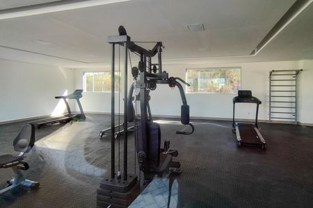 Apartamento para alugar com 56m², 2 quartos e 1 vaga Apartamento para alugar com 56m², 2 quartos e 1 vagaÁrea comum - Academia