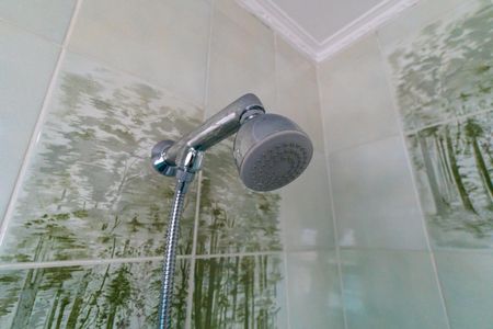 Casa à venda com 180m², 3 quartos e 4 vagasBanheiro da Suíte Detalhe