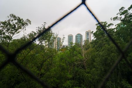 Apartamento à venda com 207m², 4 quartos e 3 vagasVista da Suíte 1