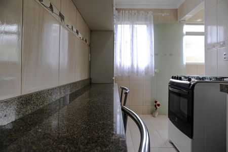 Apartamento para alugar com 52m², 2 quartos e 1 vagaCozinha
