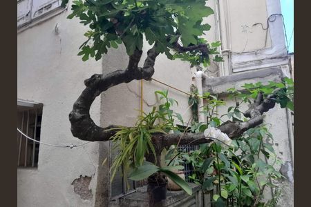 Casa à venda com 225m², 10 quartos e sem vaga