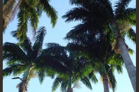 Casa à venda com 900m², 4 quartos e 4 vagas