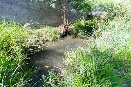 Casa à venda com 193m², 3 quartos e 3 vagasQuintal