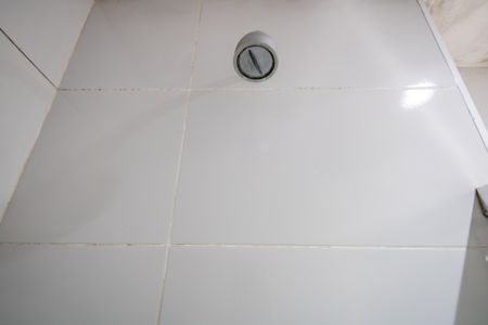 Apartamento à venda com 57m², 2 quartos e 1 vagaBanheiro da Suíte