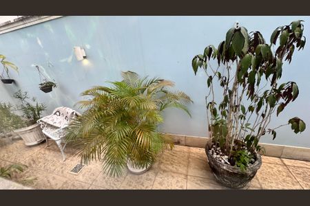 Casa à venda com 508m², 4 quartos e 5 vagasQuintal