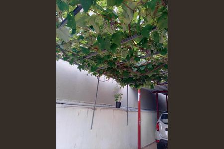 Casa à venda com 264m², 3 quartos e 3 vagasQuintal