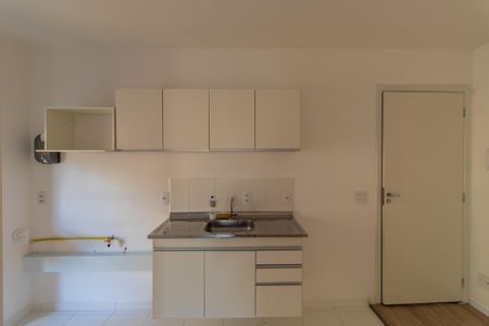 Apartamento para alugar com 59m², 2 quartos e 1 vagaCozinha - Armários
